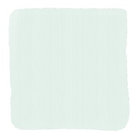 a light green paint swatch on a white background