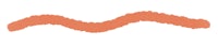 an orange wavy line on a white background